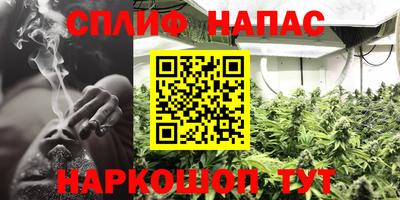 PSILOCYBIN Гусев