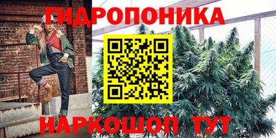 каннабис Дубна