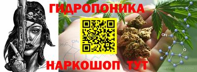 каннабис Дубна