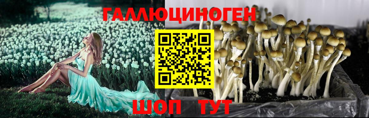 Галлюциногенные грибы MAGIC MUSHROOMS Зеленодольск